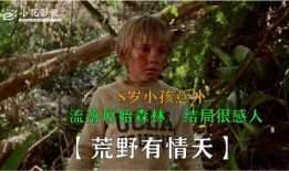 荒野有情天在线观看,穿越荒野，探寻生命真谛的感人之旅